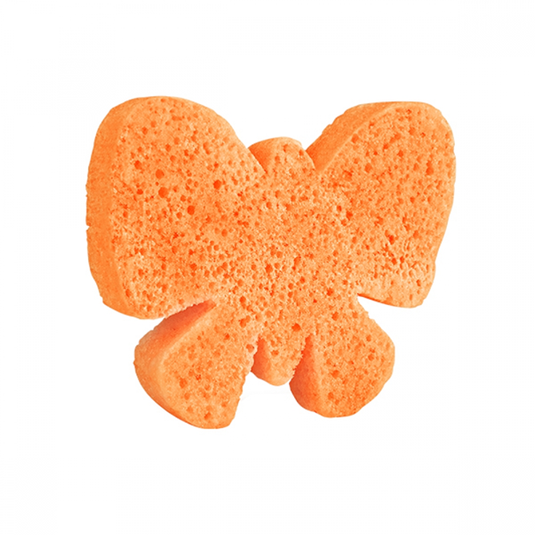 Butterfly Sponge Animal