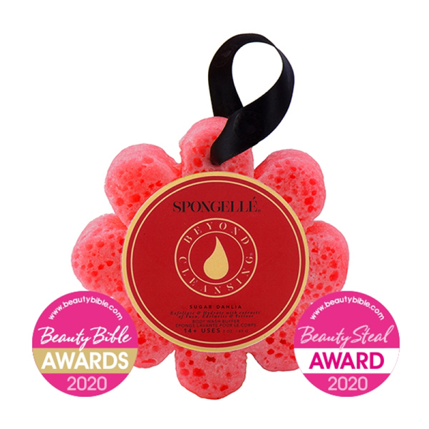 Wild Flower - Sugar Dahlia